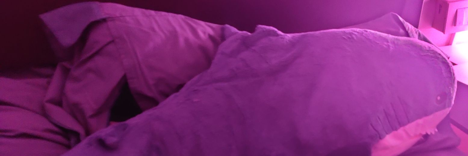 AlcadSpirit's profile banner image