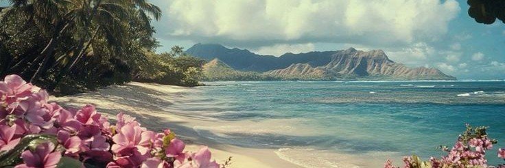 walwelwalwel's profile banner image