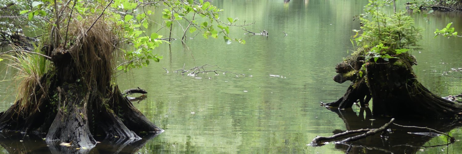 Barbine58's profile banner image