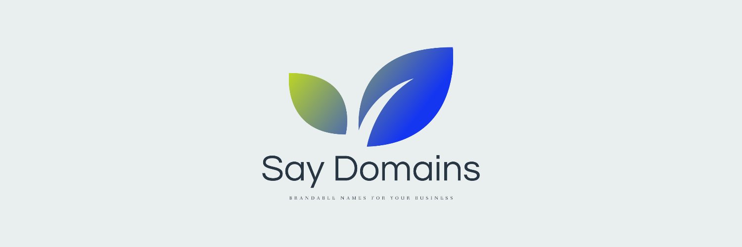 SayDomains's profile banner image