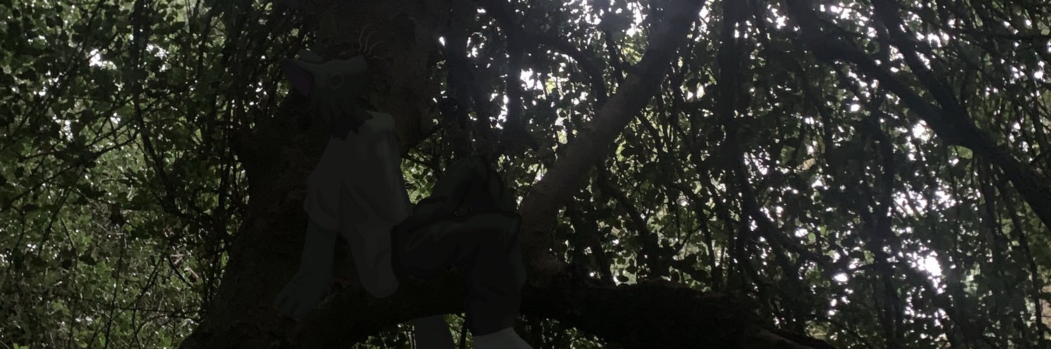 sunwsk.bsky.social banner