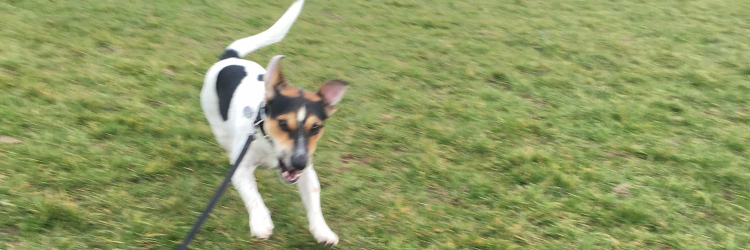 KatieWilson___'s profile banner image