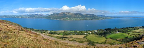 peterdonaghy Profile Banner