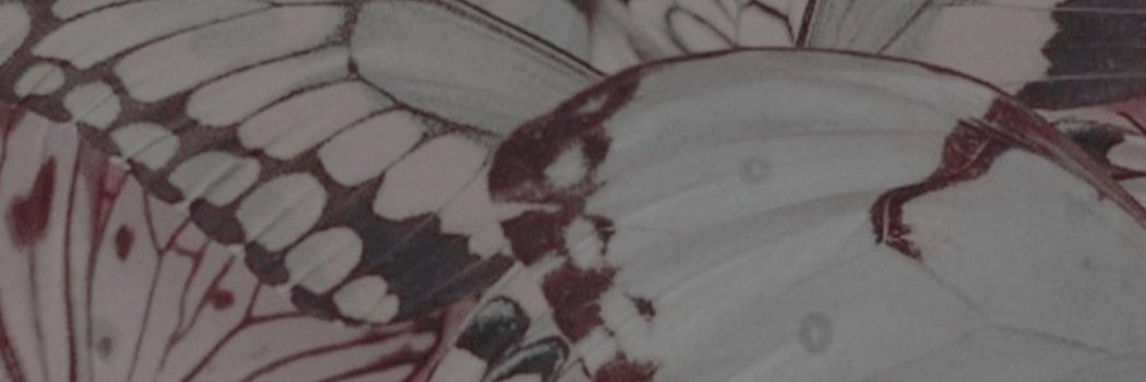 Chinsvpp's profile banner image