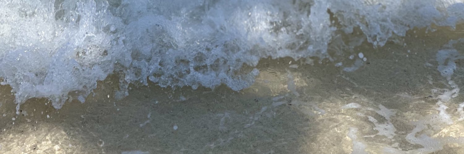 ・ᴥ・ banner