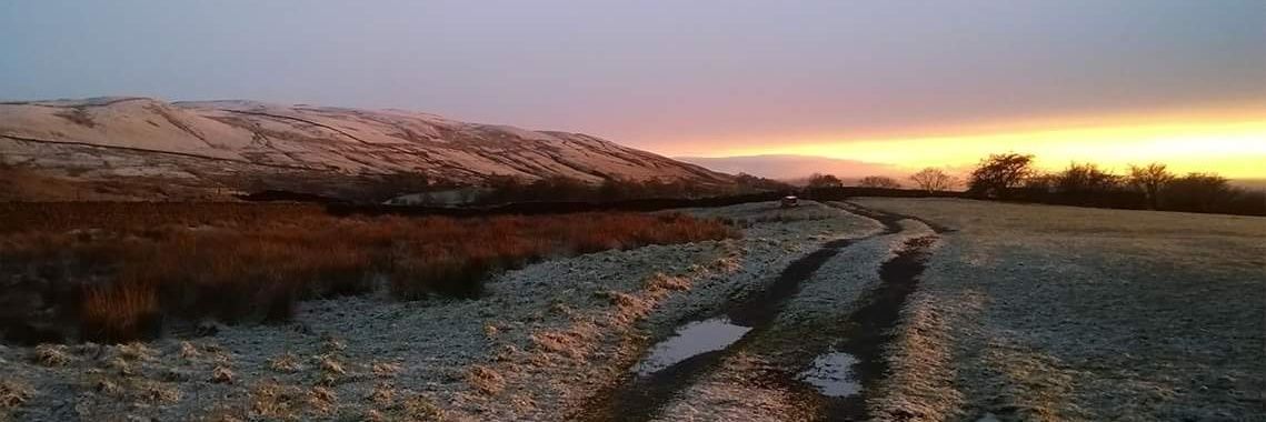 TracyBaronLancs's profile banner image