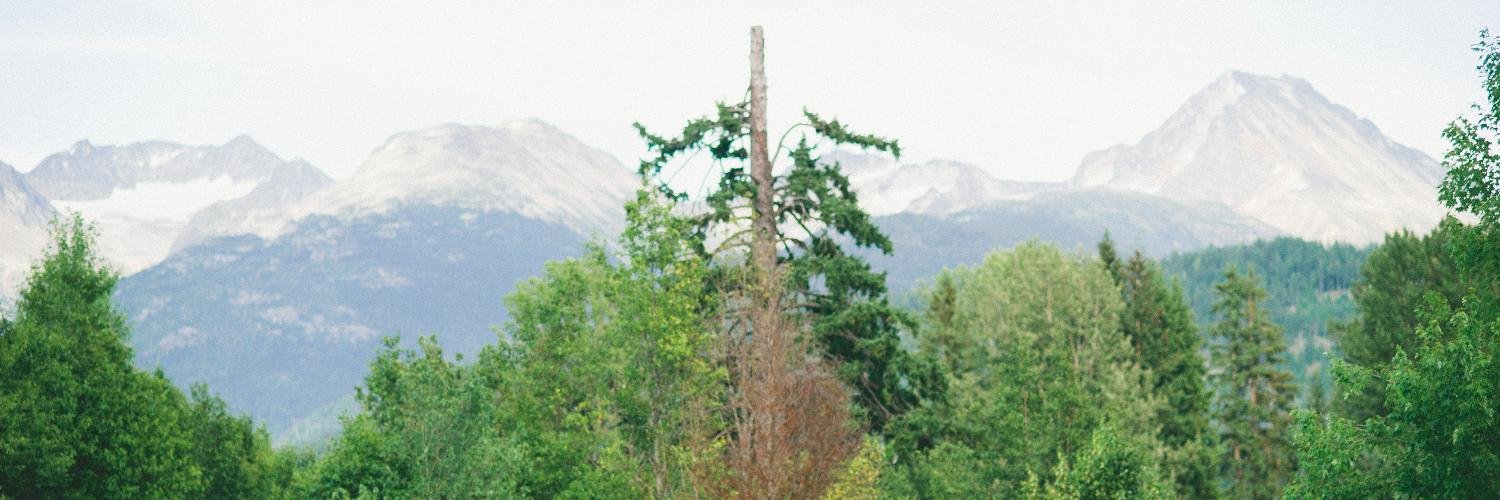 megss's profile banner image