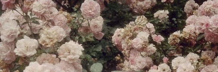 Hii2ih's profile banner image