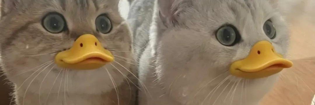 missweirdous's profile banner image