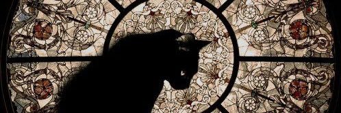 𝓗𝓪𝓻𝓵𝓮𝔂 🐈‍⬛🫧♟️ banner