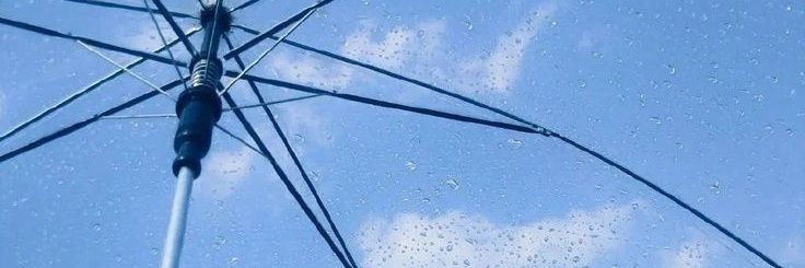 joel (SS3) banner