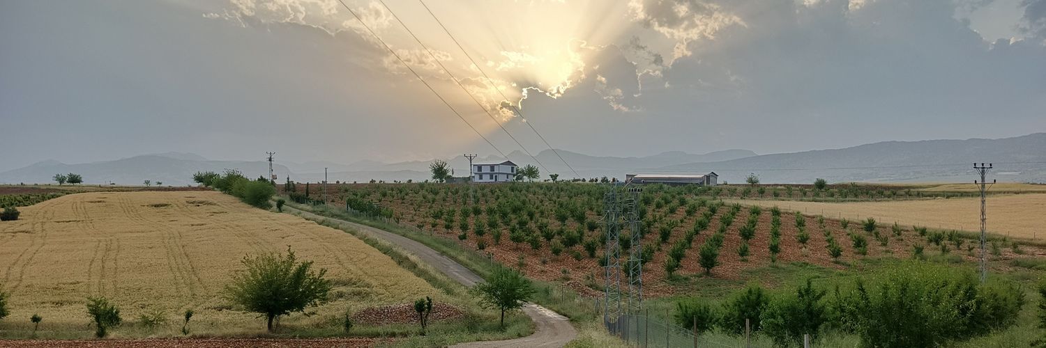 EnginS43582's profile banner image