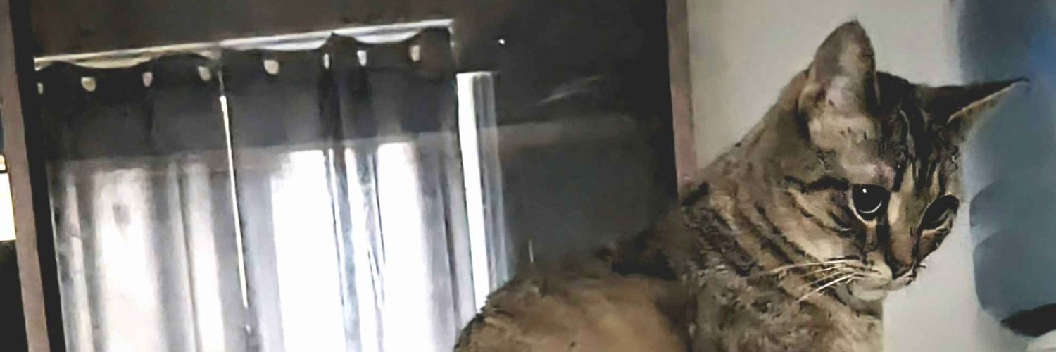fadingallaway's profile banner image