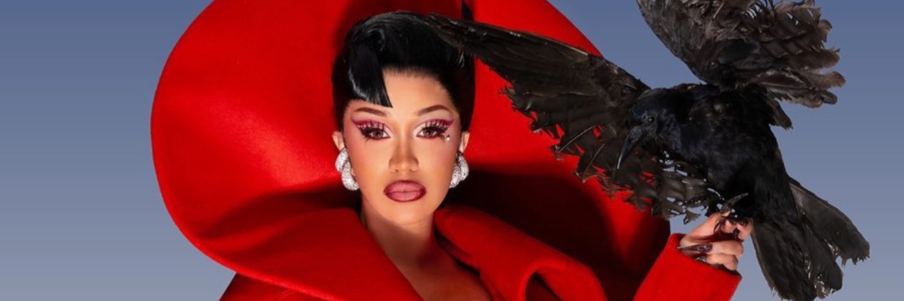 Bardi4Life 🐦‍⬛ banner