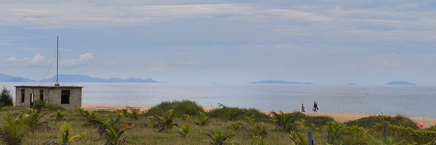 芒果林的吹哨人 banner