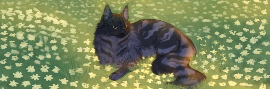 ♟️MR BLACKCAT💀(slow) banner