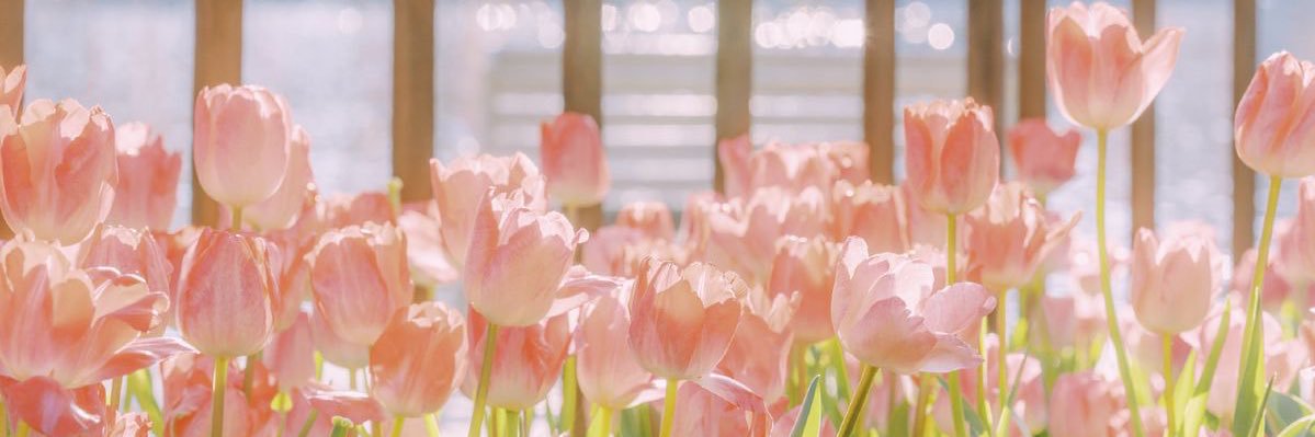 Riley🌷 banner