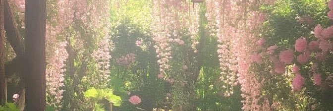 b2cy_'s profile banner image