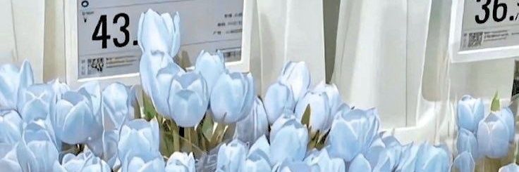 . banner