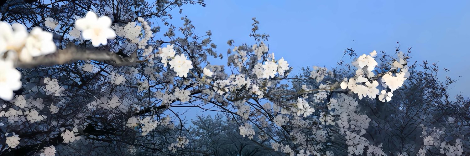maioxian's profile banner image