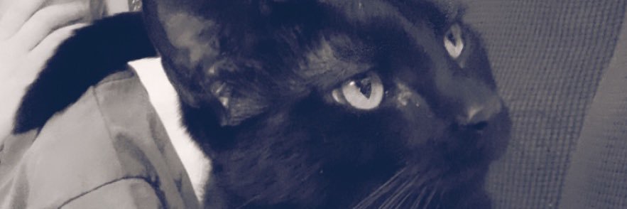 SarebearShenans's profile banner image
