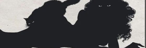 sillysinked's profile banner image