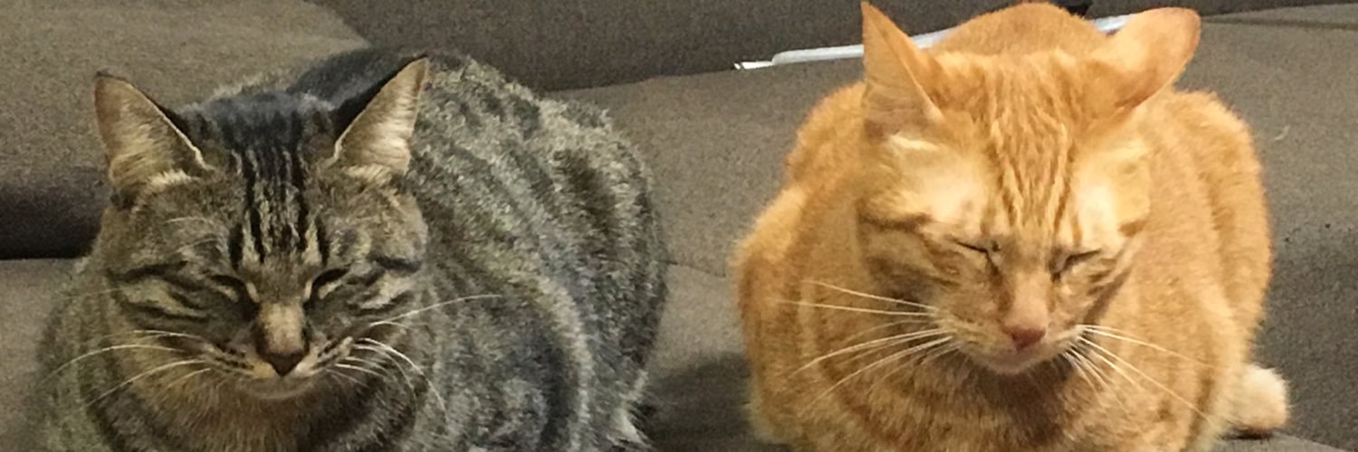 fukumossan's profile banner image