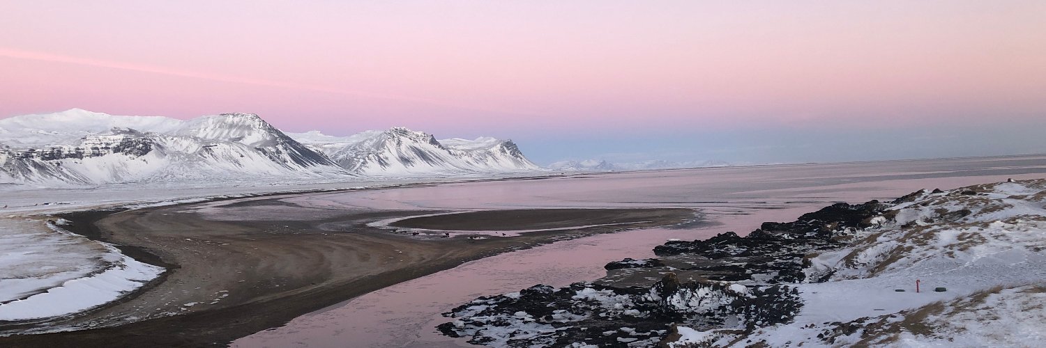 Rich Schapiro banner