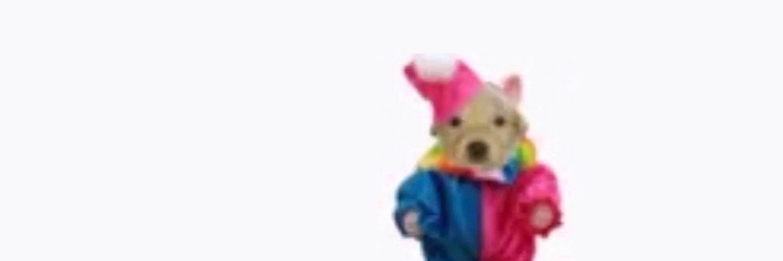 Mambosaurio's profile banner image