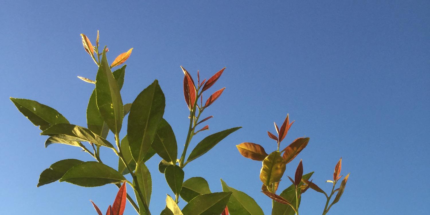 jrichalot's profile banner image