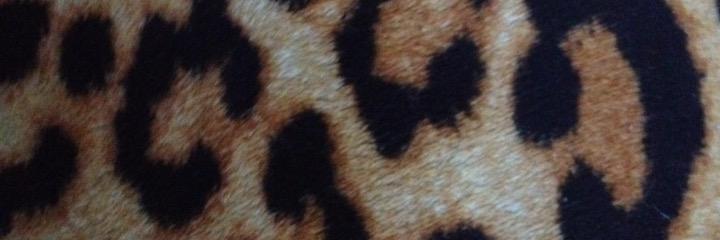Herrlidosi Lechner banner
