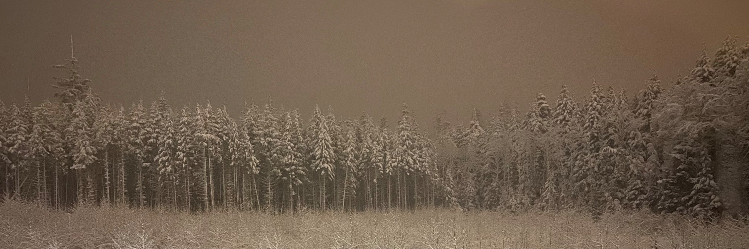 stealthbear420's profile banner image