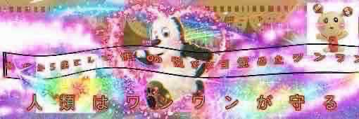 umeda05944905's profile banner image