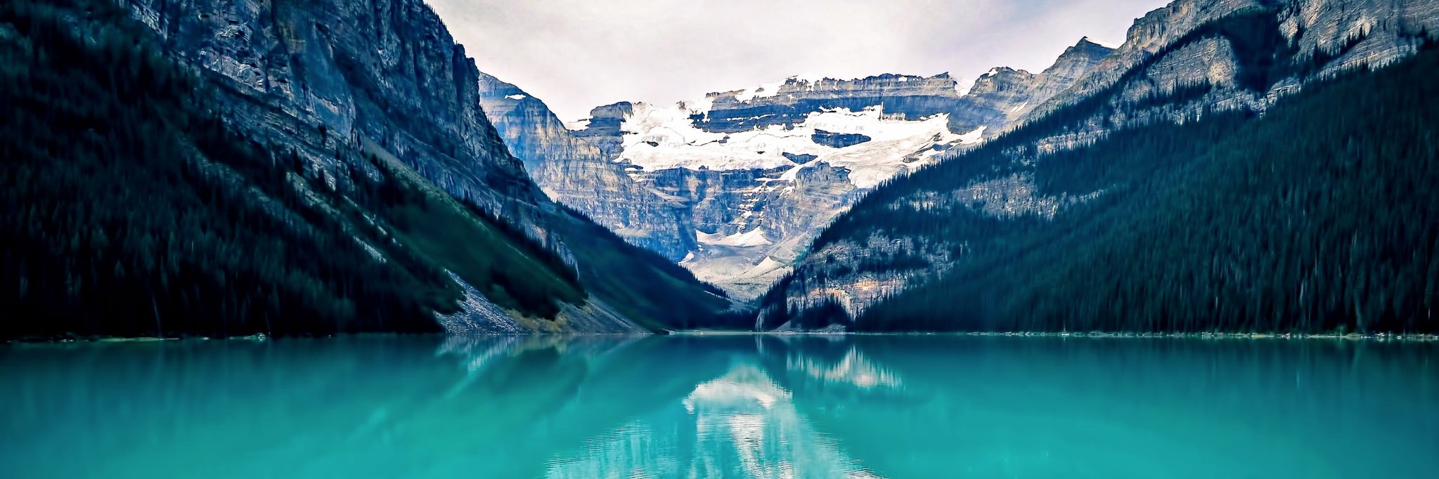 M banner