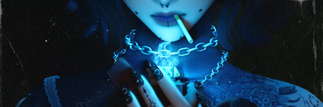 luna tsukino ₊˚.⋆☽'s banner