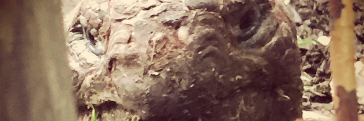 lukemorris24's profile banner image