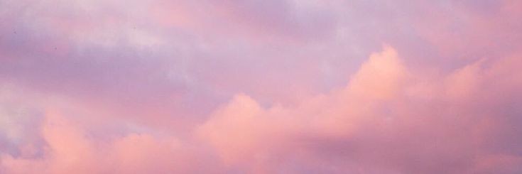 🍉 banner