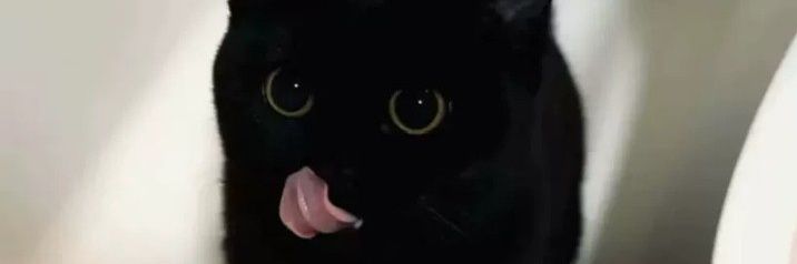 Qpwwein's profile banner image