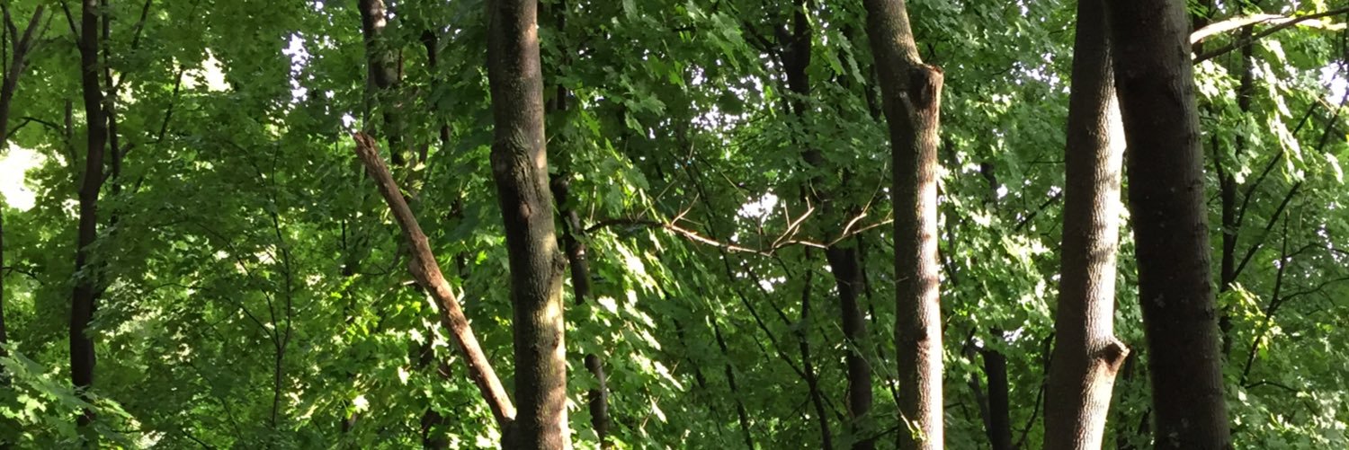 pritzi102's profile banner image