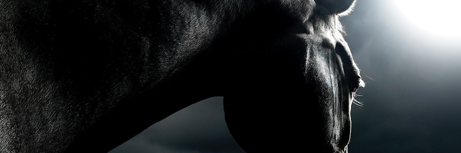 bornesaddlery's profile banner image
