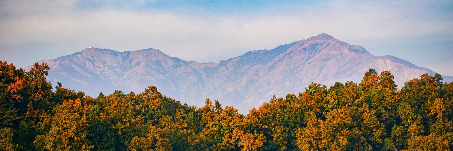 pushkararathore's profile banner image