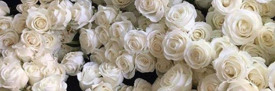 BlakeTheo358353's profile banner image