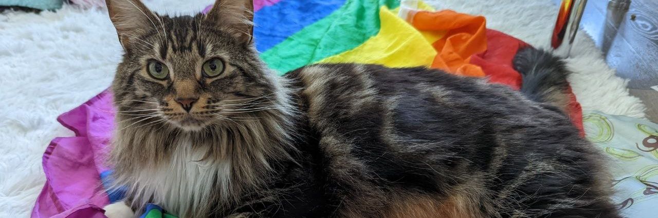 ⎛⎝JayeCat⎠⎞ ⚧🪬 banner