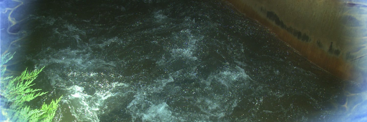 Àlex Motos i Cuervo🐍 banner