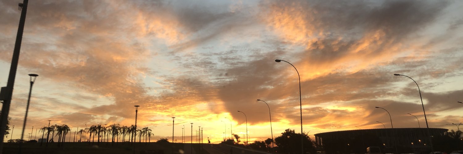 Marlicemontes's profile banner image