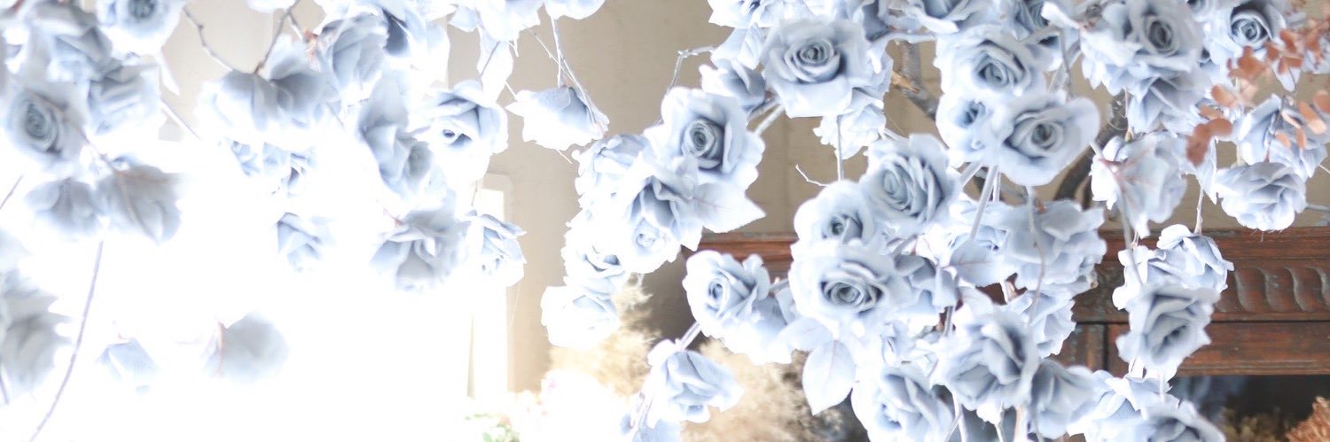 aimer_fly_high's profile banner image