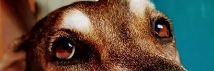 xxxpectum's profile banner image