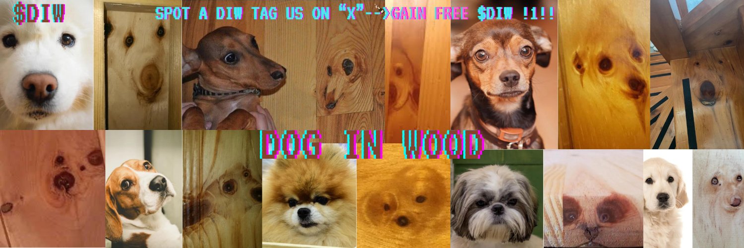 DOG IN WOOD banner