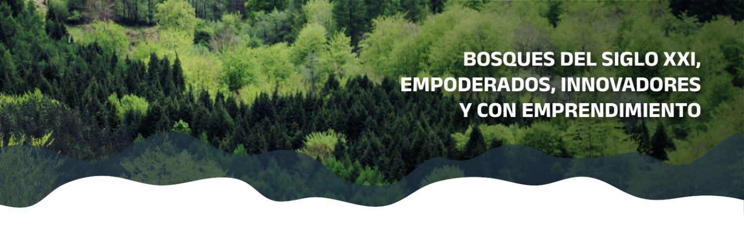 PrismaForestal's banner