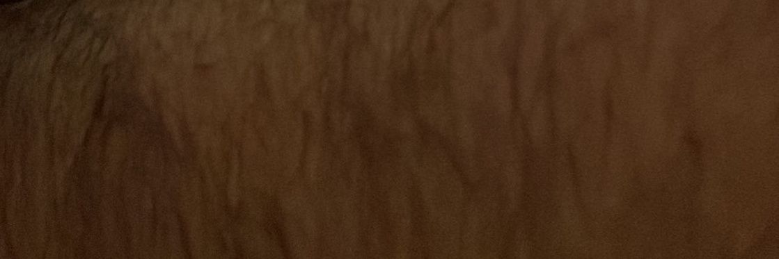 ;) banner
